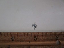 Stemma distintivo cavallino