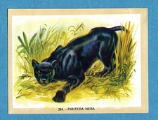 NATURAMA - Lampo 1968 -