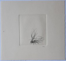 Guido Strazza (Santa Fiora 1922) - Insetti, 1980 - Incisione n° 11