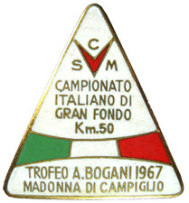 MOUNTAIN SKI BADGES CROSS