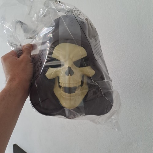 Skeletor bucket masters - of, the