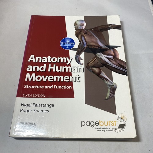 Physiotherapy essentials - physiotherapy,