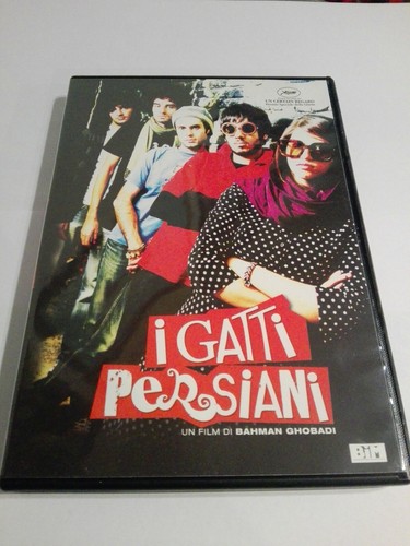 Gatti persiani film - gatti,