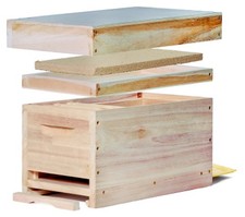 Mini Plus rivista svernativa