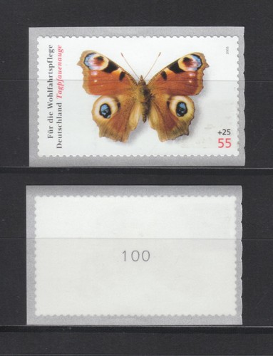 Fascia 2504 farfalle - 2504, "farfalle"