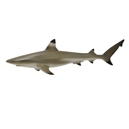 Collecta blacktip reef - reef, shark