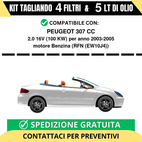 Tagliando per peugeot 307 - per,