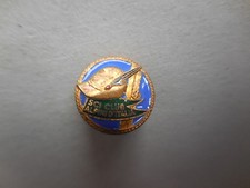 alpine ski club badge