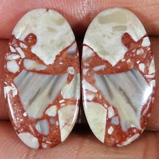 Coppia Ovale Di Cabochon In