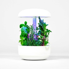 Plantui Smart Garden 6 -