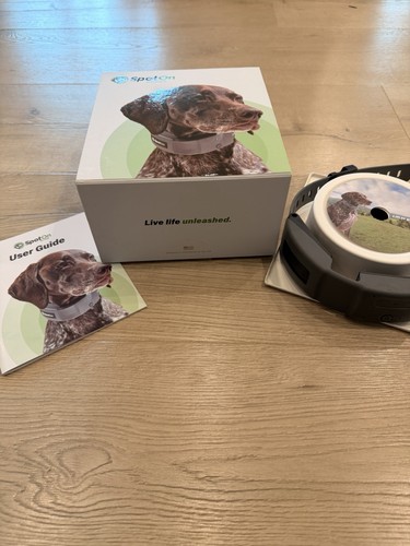 Spot gps collare per cani - on,