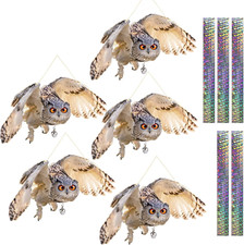 Dissuasori per Piccioni