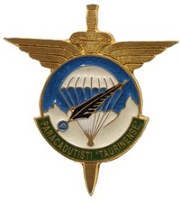 Distintivo Spilla Alpini