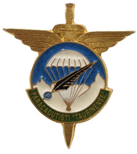 Distintivo spilla alpini - distintivo,