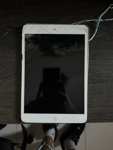 Ipad mini bianco wifi - mini,