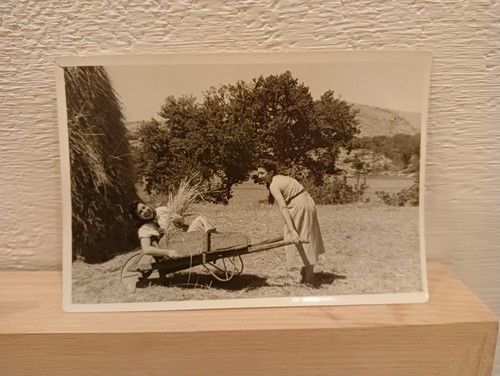 Foto vernacolare scherzosa
