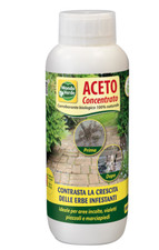 ACETO CONCENTRATO 1 LT
