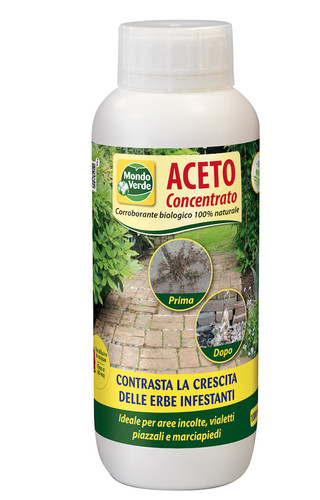 Aceto concentrato lt - concentrato, 1