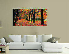 QUADRI MODERNI TELA 100X50 CENTRAL PARK NEW YORK NATURA AUTUNNO RED PAESAGGIO