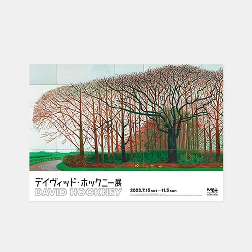 Poster david hockney art - poster,