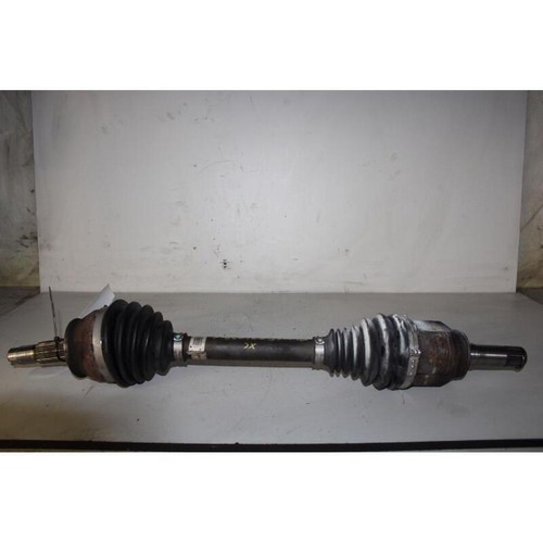 Semialbero ant compl sx - semialbero, compl.