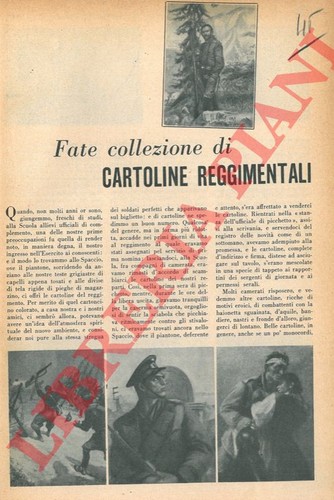 Alberini massimo fate - massimo,