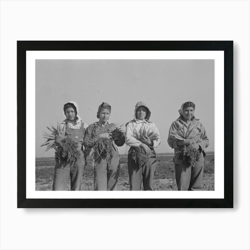 Quadro stampa tela - stampa,