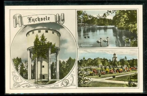 Cartolina fotografica epoca - fotografica, d'epoca