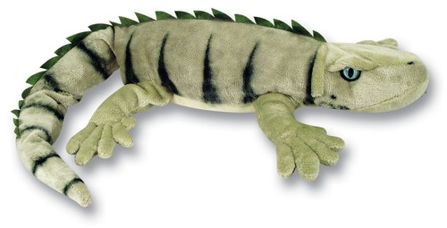 Iguana soft toy plush - soft, toy,