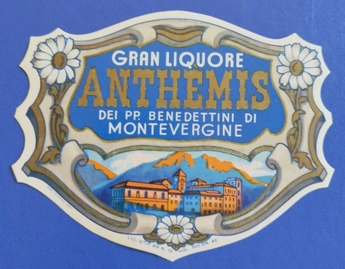 Anthemis gran liquore dei - anthemis,