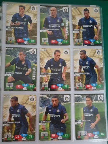 Card panini adrenalyn - 9,