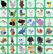 Adopt from me! Custom pets