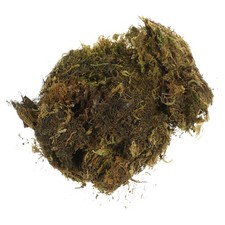  1 sacchetto di muschio