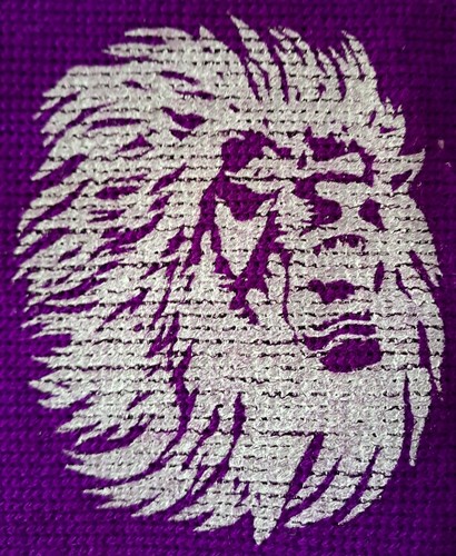 Sciarpa ultras fiorentina - -,