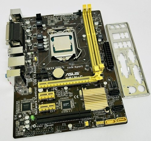 Asus h81m rev - h81m-c, socket