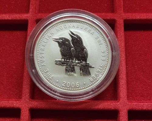 Australia kookaburra 2006 - ,