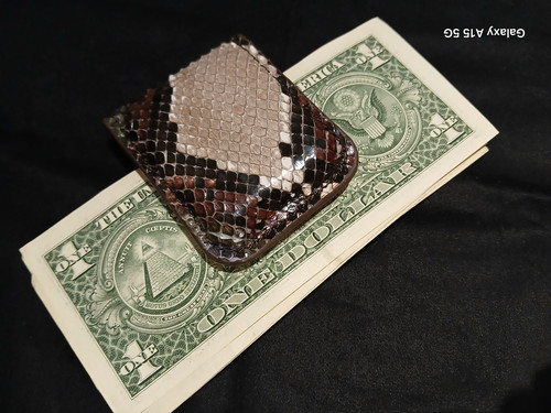 Porta dollari euro pitone - dollari/euro, /