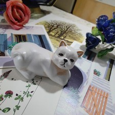 Ar 88) Gatto Gattino in