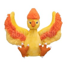 MOLTRES FIT POKEMON CENTER