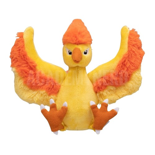 Moltres fit pokemon - fit,
