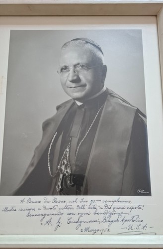 Quadro con foto del cardinale - quadro,