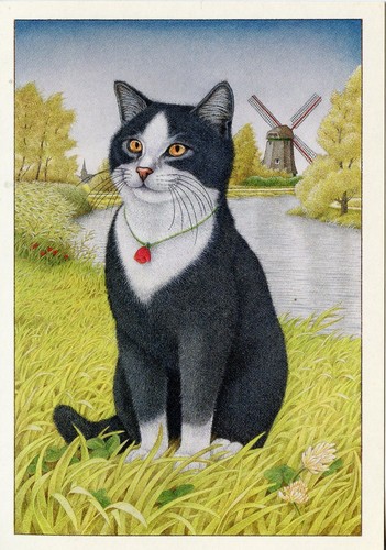 Postcard carte postale - postcard,