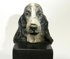 Cocker Spaniel Inglese Wiener