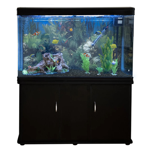 Acquario 300 litri con - acquario,
