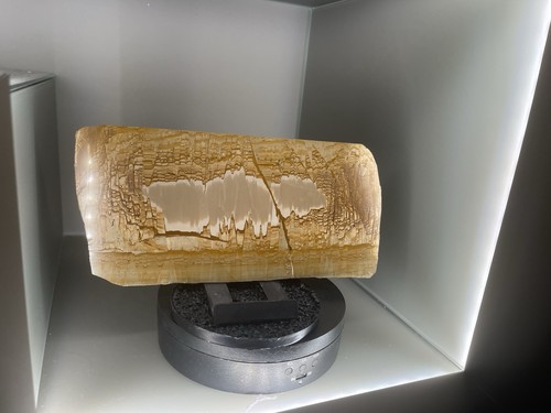 Bellissimo marmo paesaggistico - marmo,