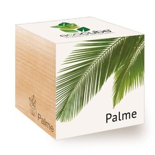 Feel Green Ecocube Palme, Idea