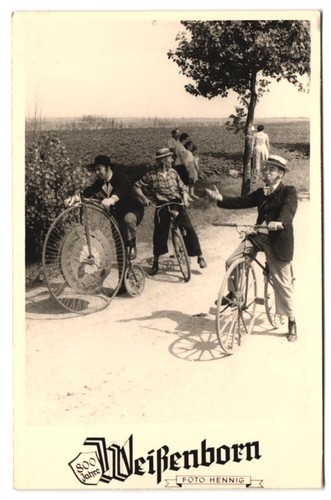 Fotografie hennig vista - fotografie,