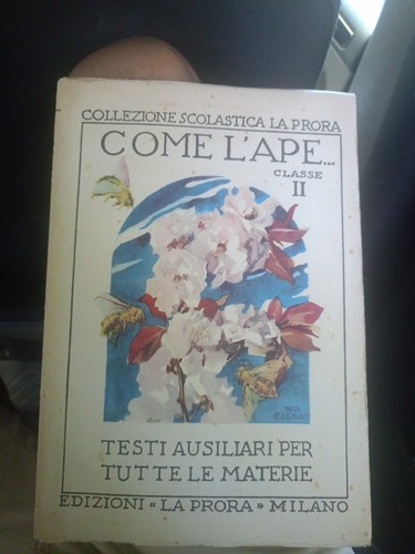 Come ape classe la - classe,