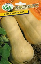 Semi ZUCCA Butternut Liscia