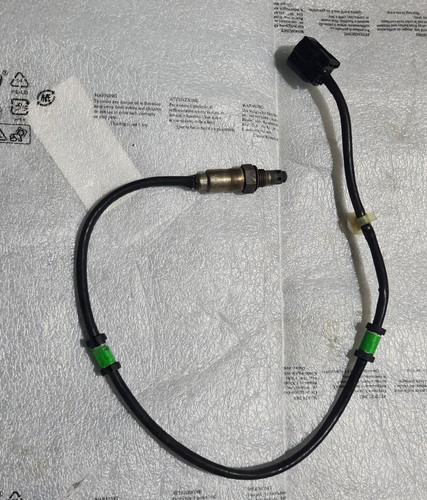 Sonda lampda collettore - sonda,